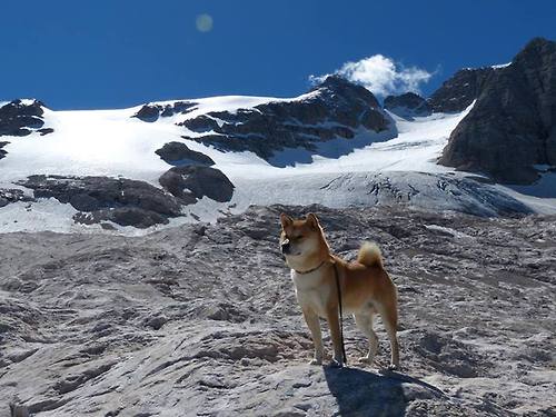 爱游戏体育平台-中国足球青训名帅加盟，培养未来之星，中国足球青训人才