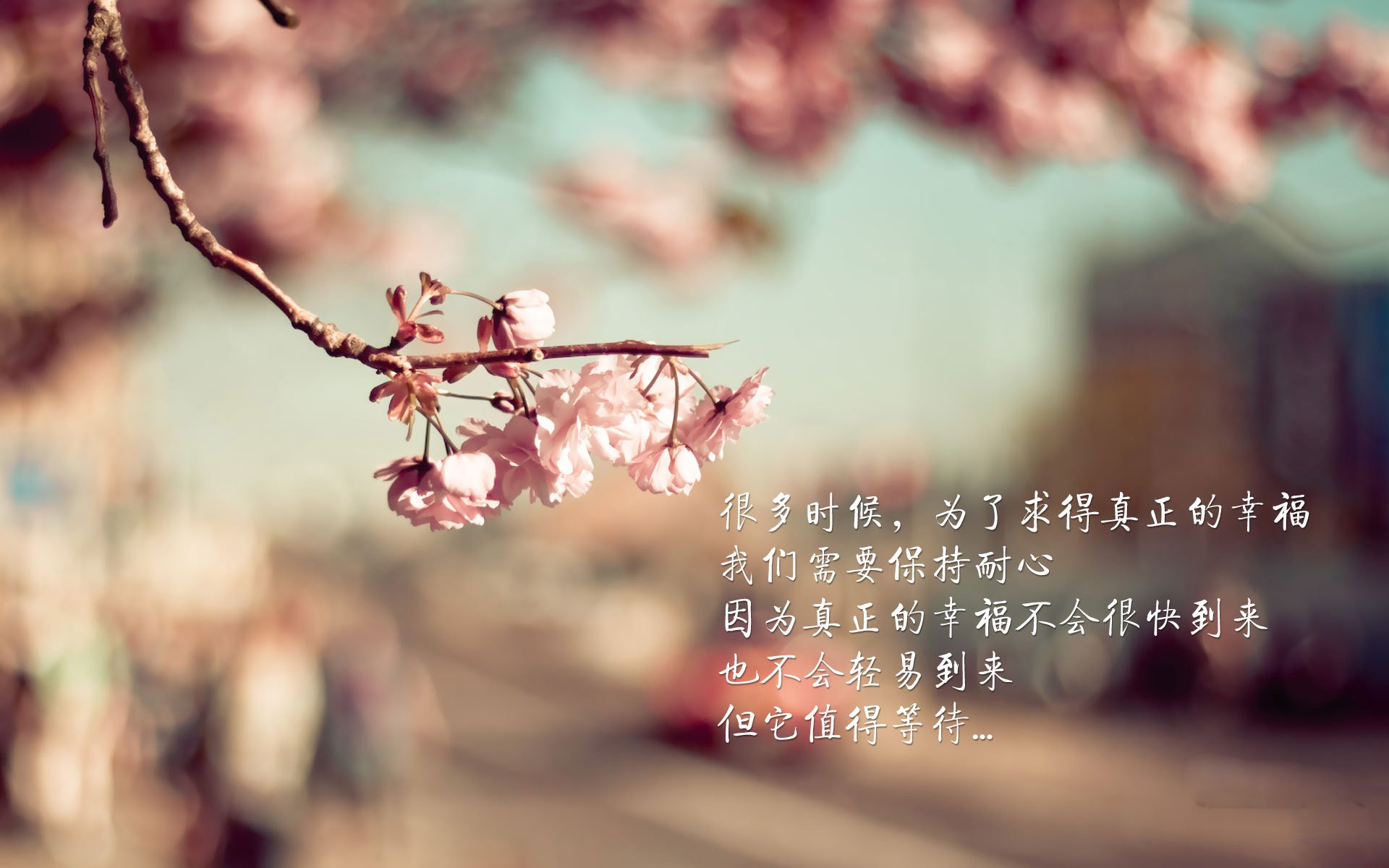 AYX SPORTS-摩纳哥主场失利，遗憾结束欧冠征程，摩纳哥进入欧冠决赛