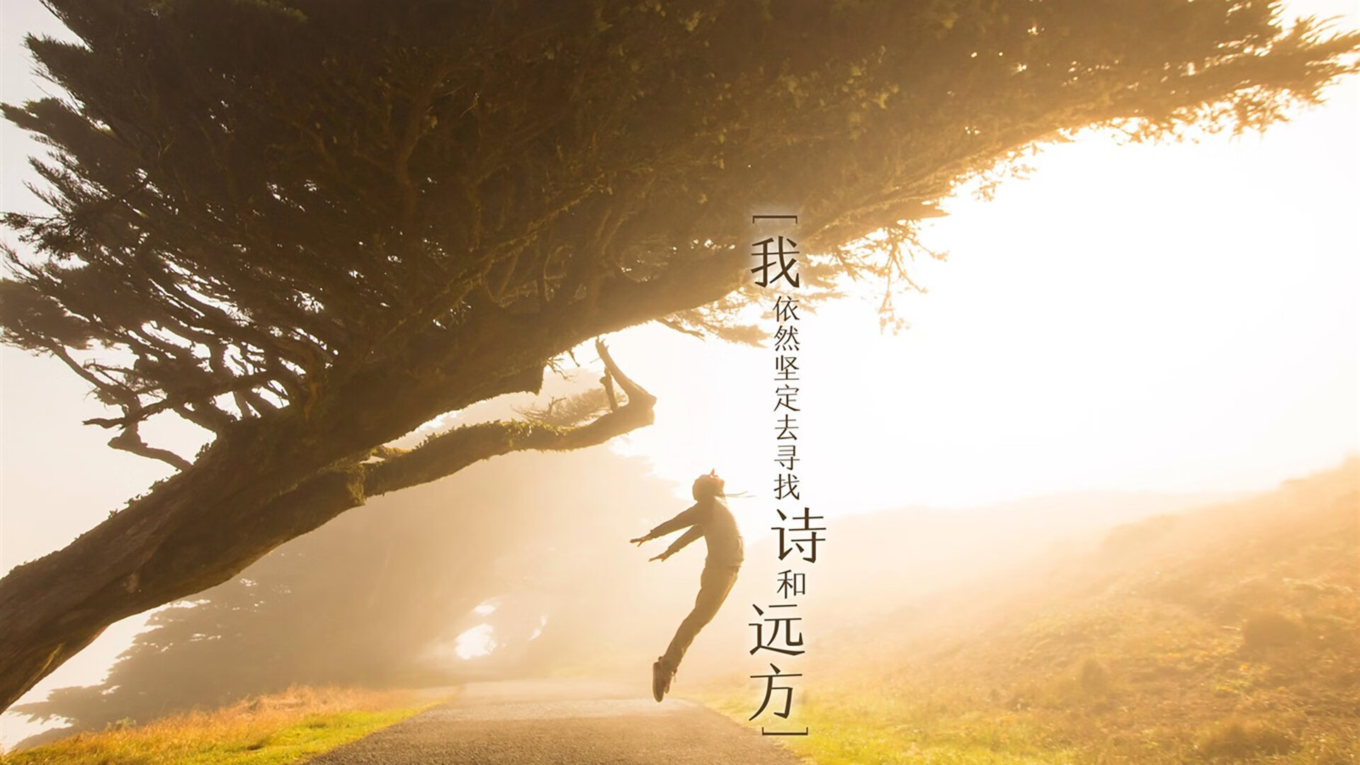 爱游戏综合娱乐-热那亚-战平博洛尼亚，陷入平局泥潭，博洛尼亚对热那亚预测分析