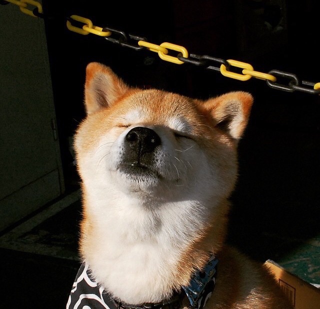 爱游戏官方-足坛巨星风采出尽，锋线火力全开令对手无可奈何，足坛最强锋线