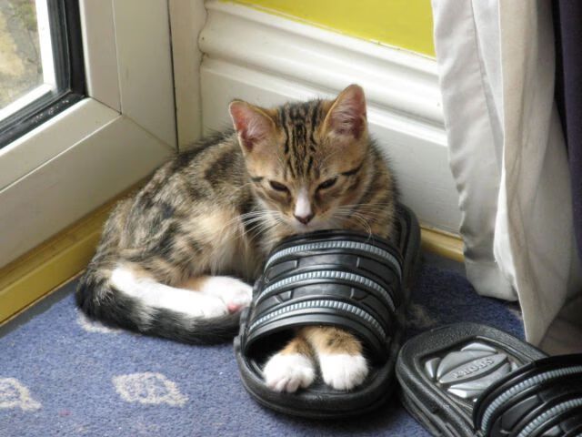 爱游戏-赫塔菲击败维拉利尔，稳固积分榜地位，赫塔菲对阵韦斯卡