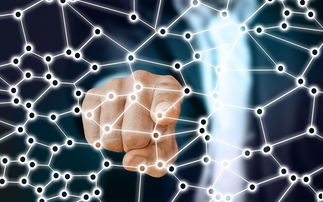 爱游戏app-中国篮球职业联赛青训体系的结构优化，中国青年篮球联赛简称