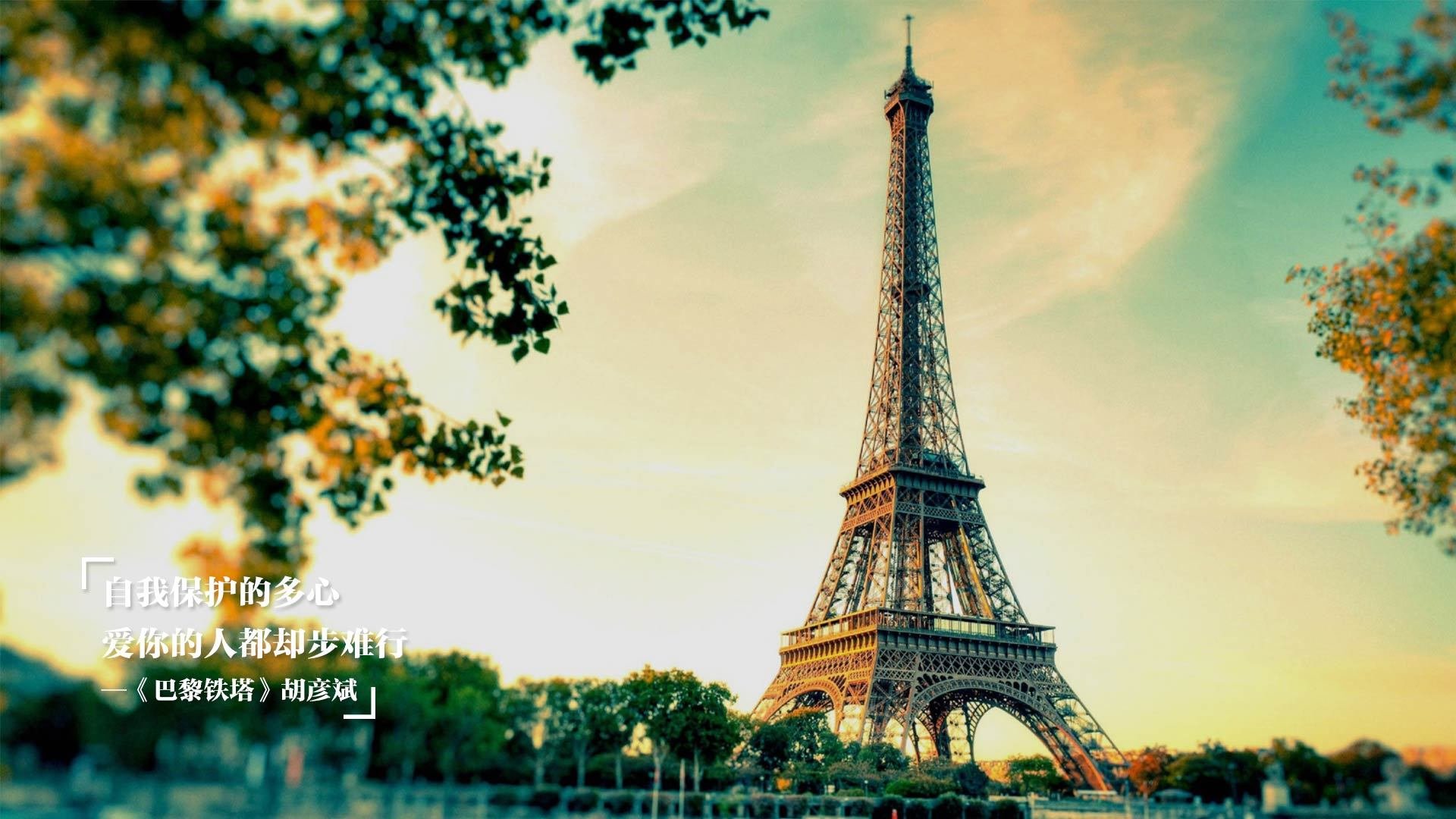 中国足球对抗型前锋数据统计,中国队足球队前锋