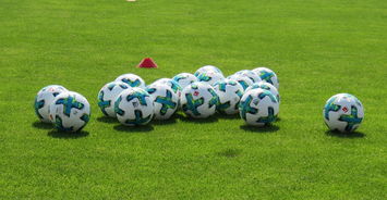 -体育旅游：足球赛季带动旅游热潮分析，足球景区