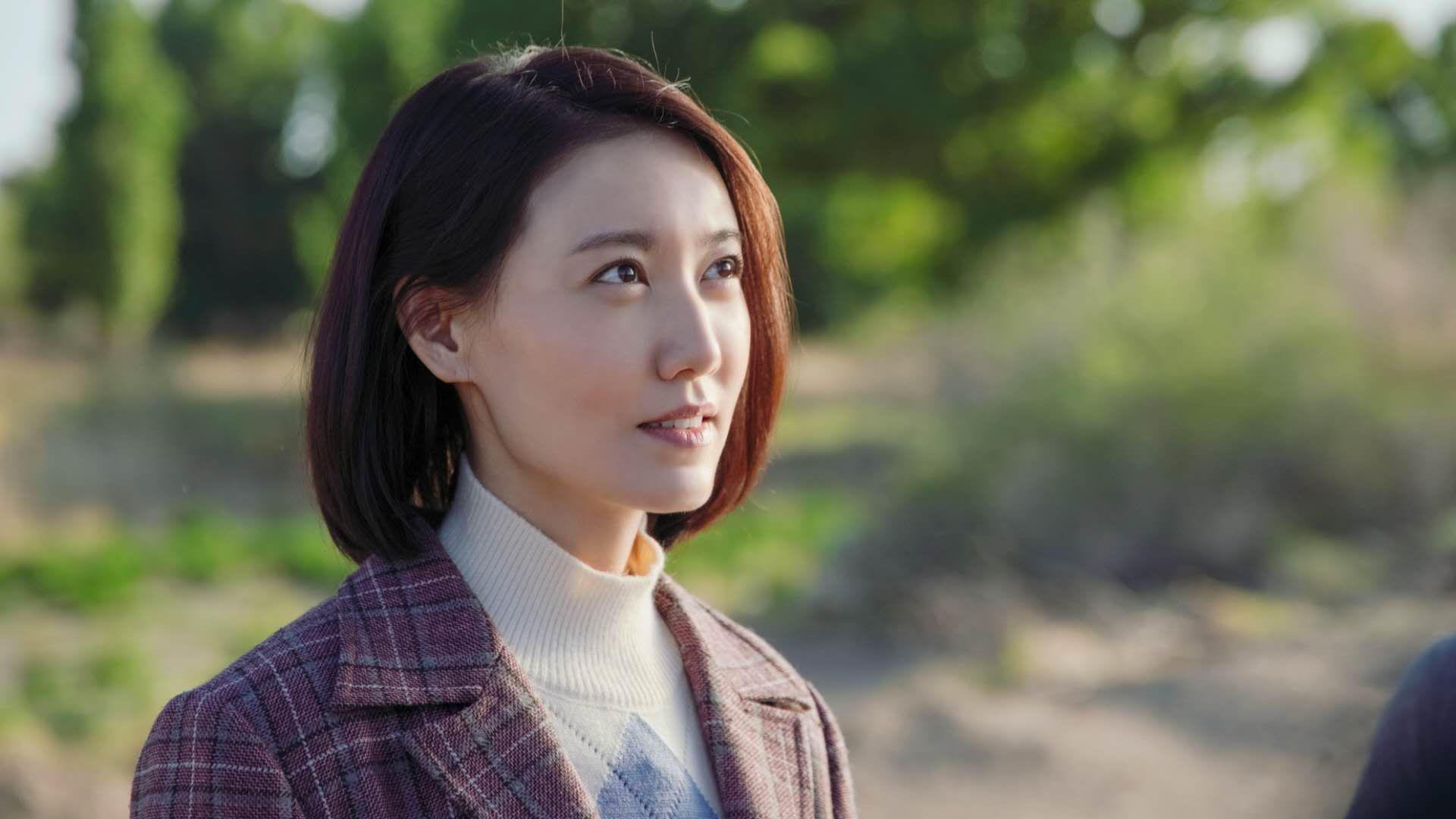 体育旅游:足球赛季带动旅游热潮分析,足球景区