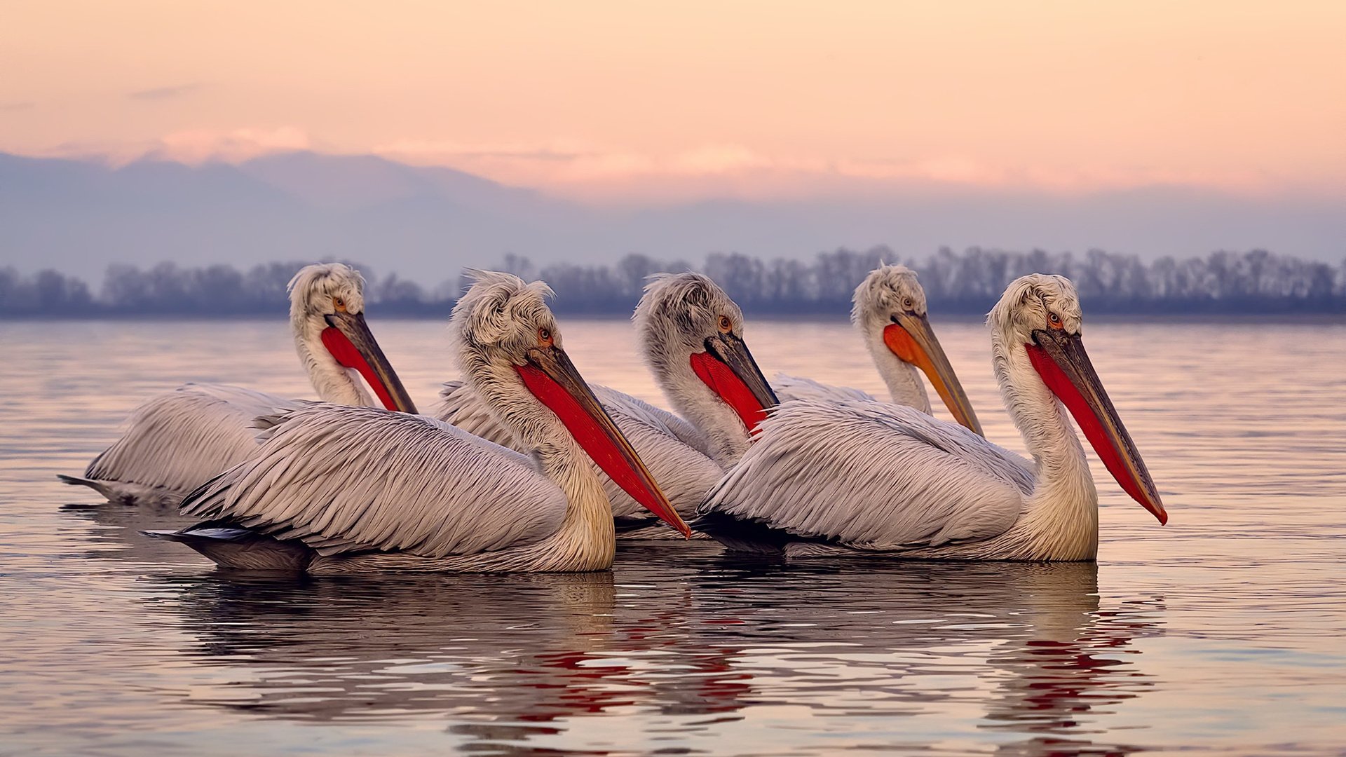 国足进攻套路数据模型分析,国足比赛技术统计