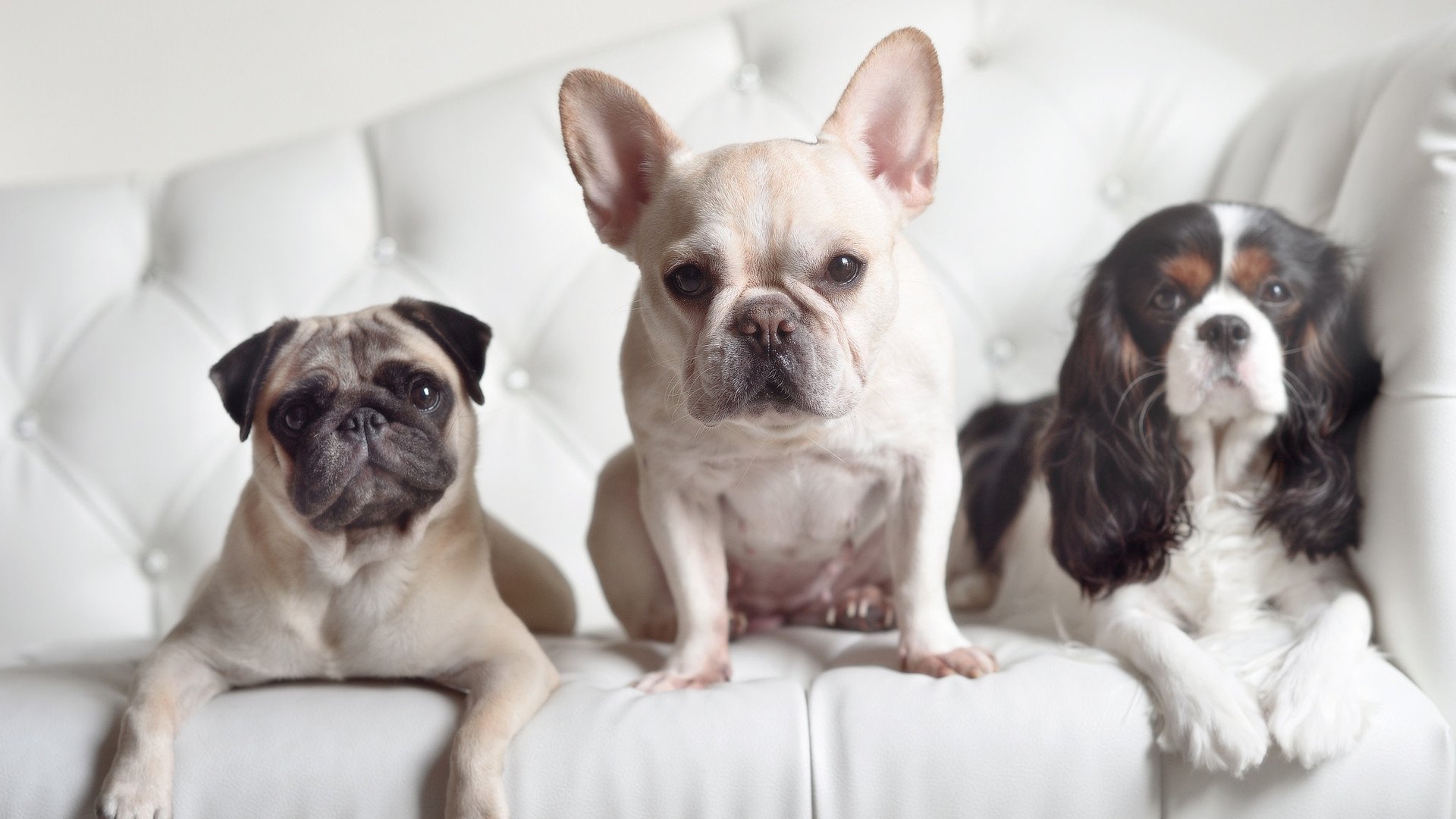 爱游戏下载-尤文强势开局，控球及快速反击压制阿联酋豪门，尤文对战