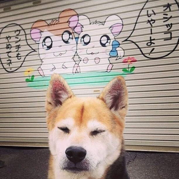 AYX GAMING-高强度节奏比赛后球员恢复节奏是否影响下场表现，节奏型球员