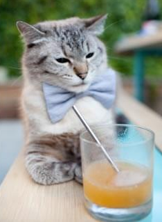 C罗刷新纪录世界杯,c罗世界杯记录