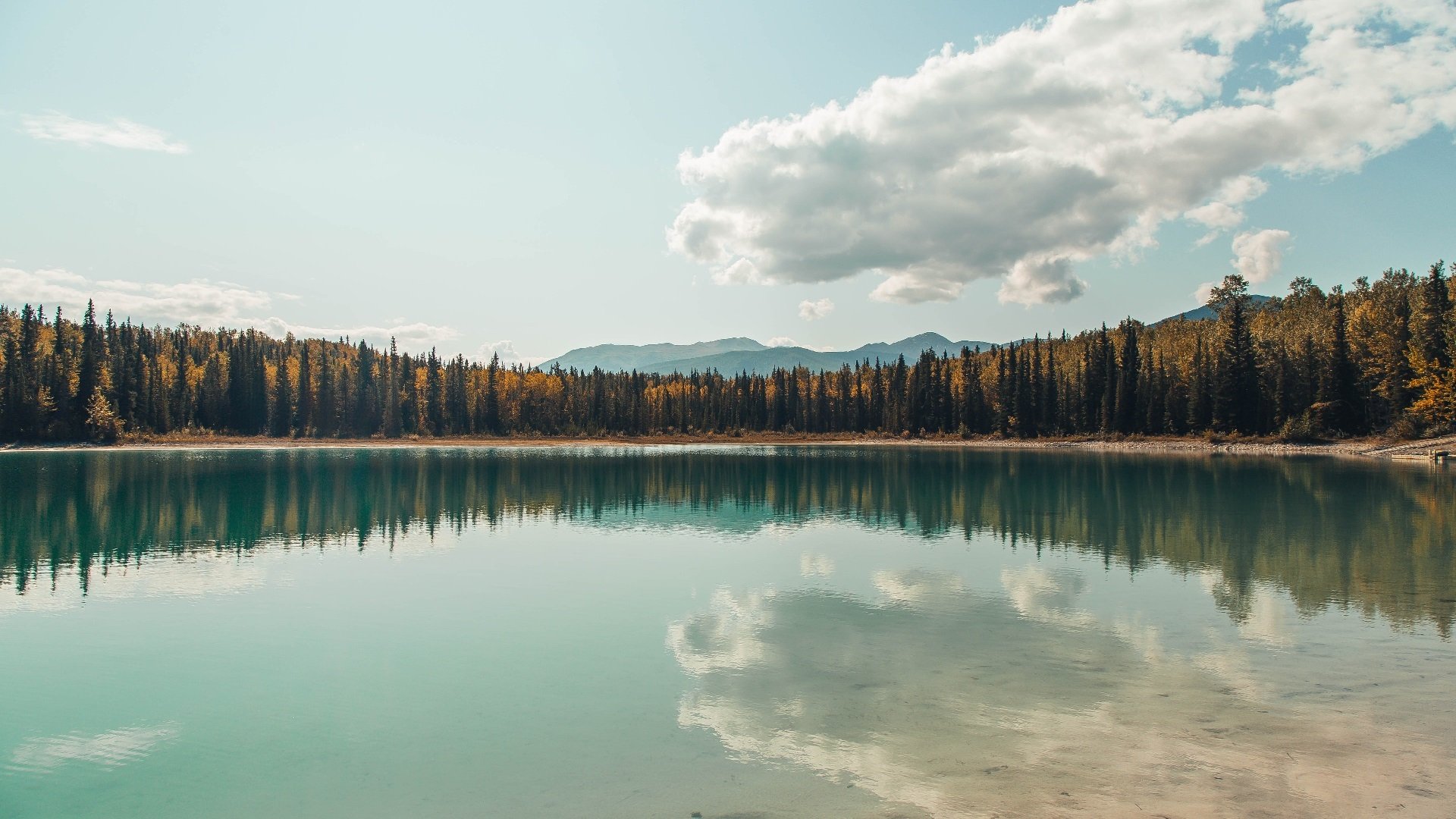 全球青少年足球比赛吸引全世界关注,推动体育普及,全国青少年足球邀请赛