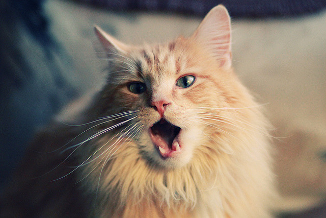 爱游戏官方-国际足球青训联盟推动标准化发展，打造未来足球金字塔，世界著名足球青训基地